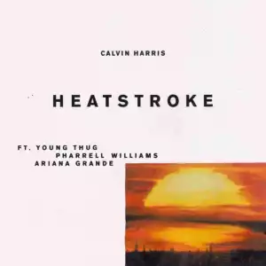 Calvin Harris - Heatstroke (ft. Young Thug, Pharrell & Ariana Grande)